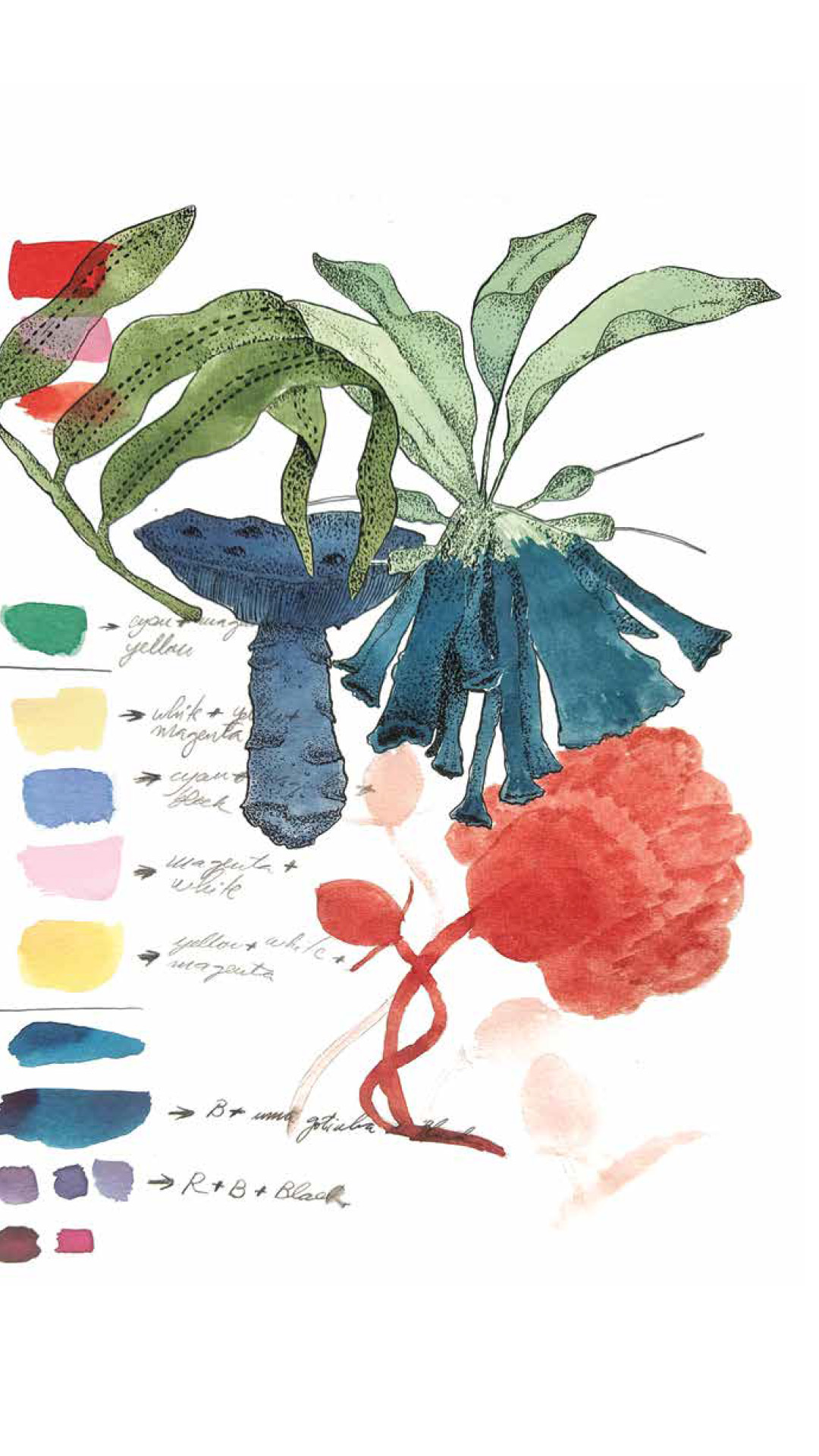 Poesia-Post, botanische Illustration als Cover